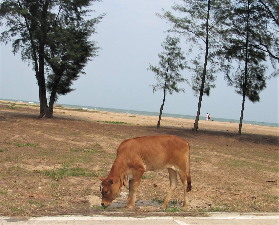 The Sunrise Beach Cafe And Guesthouse Ban Tha Khoi Exterior foto